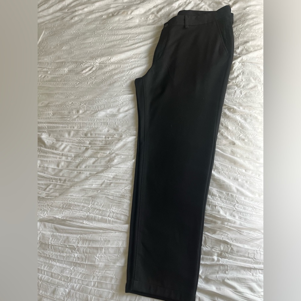 Zara Dress Pants